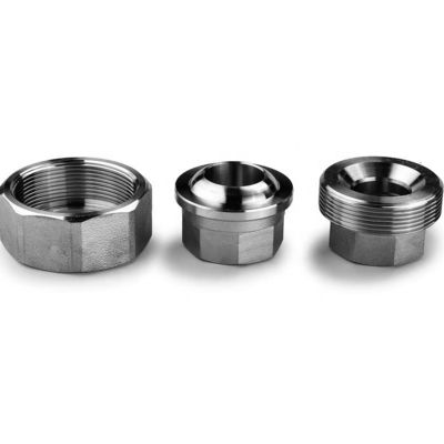 Gleich geschmiedetem Edelstahl 304 316 316L Hochdruck-Steckdose Schweiß Union 1" DN25