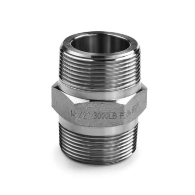 SS304 316 316L Hochdruckgeformte Hex Nippel 300 bar männliche Schnur gleich/reduktive Nippel