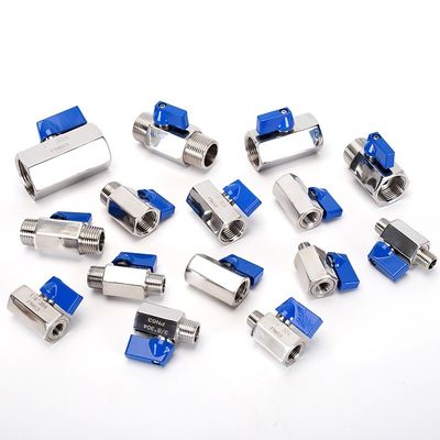3/4 "-12" NPT weibliche Giebel aus Edelstahl Mini-Kugelventil mit Schlauch Schlauch Barb