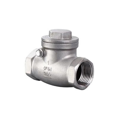 Zylindrischer Kopf Code 316 Edelstahl 201 304 Kontrollventil Npt Bsp Gewinde Federlast