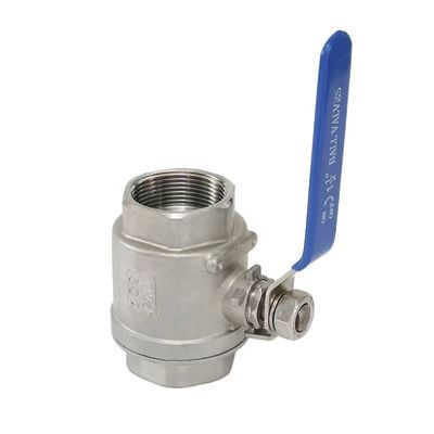 WZ Edelstahl SS 304 316 NPT BSP-Gewinde 2PC Kugelventil für Langlebigkeit angepasst