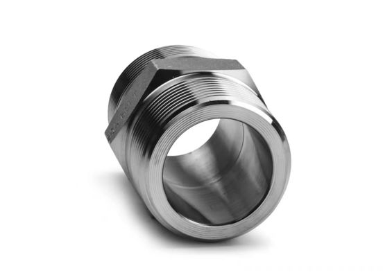 WZ Edelstahl Hochdruckhex Nippel BSP NPT Gleich männliches Gewindepipe