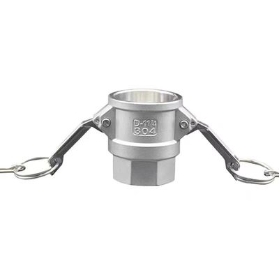 Gleichwertige SS 304 316 Camlock-Kopplung aus Edelstahl mit Schnellanschluss des Typs D NPT BSPT BSP