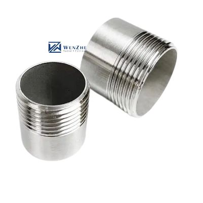 Silber WZ SS316 Männlicher Fass Nippel NPT BSPP BSPT G Gewinde 2 " Customized Support OEM