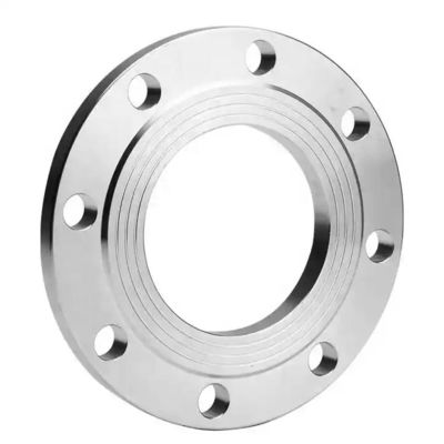 Verknüpfungen aus Edelstahl 304 Blind/Slip On/Flat Plate/Socket RF